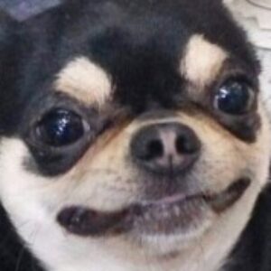 あこ のプロフィール写真