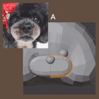1ezgif.com-optimize-6